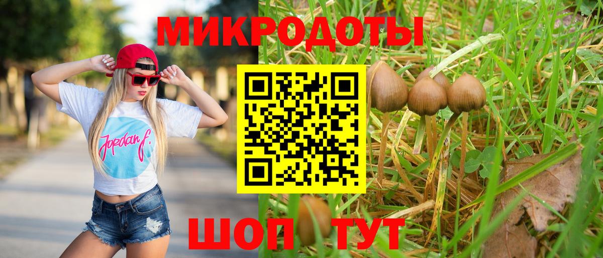 Псилоцибиновые грибы Cubensis Иркутск