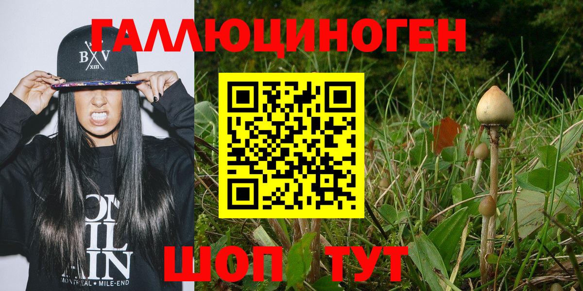 Псилоцибиновые грибы Cubensis  Вход с VPN  Иркутск 
